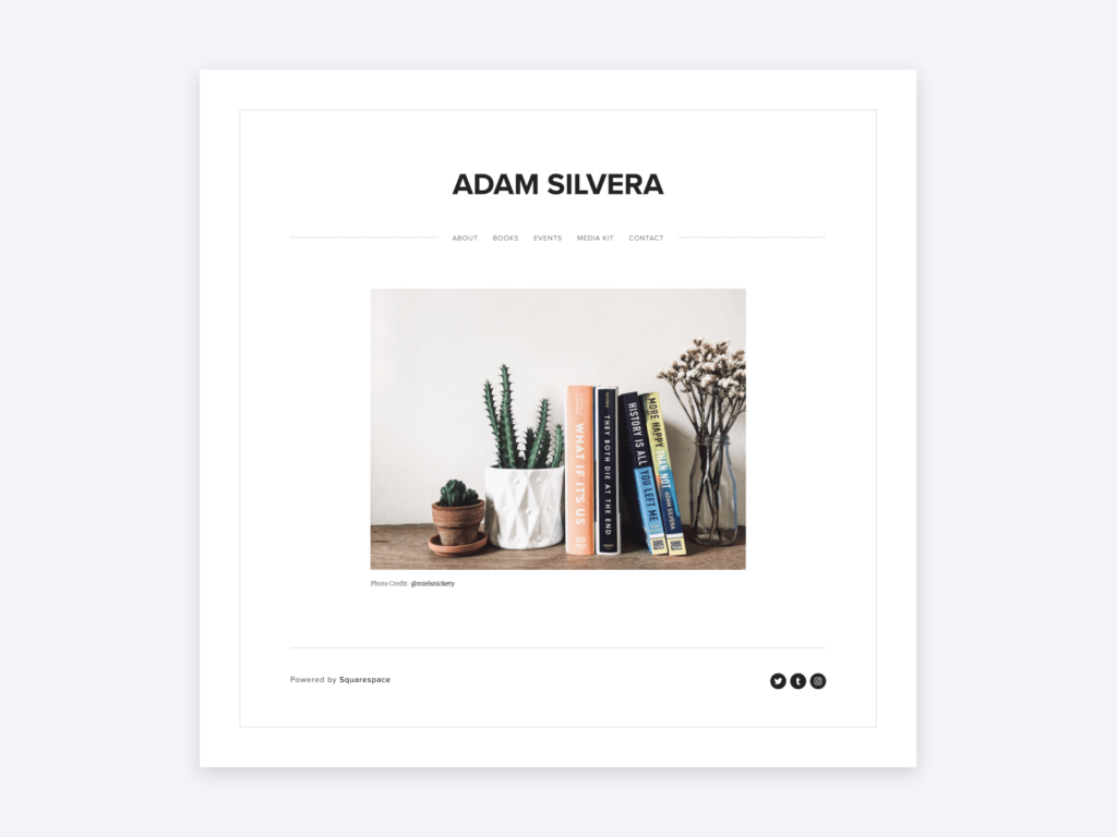 The homepage of the website of author Adam Silvera